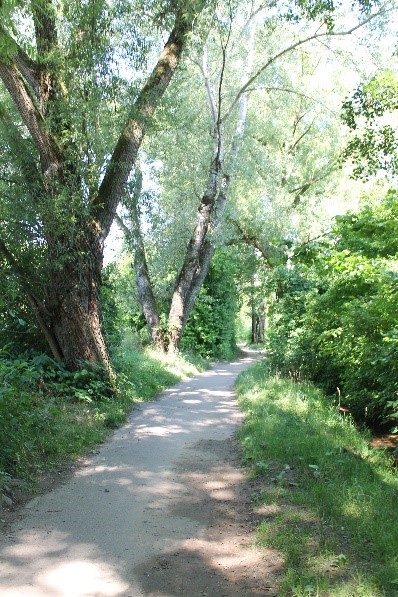 A stroll along Dorfbach. Photo Brian Vaughn