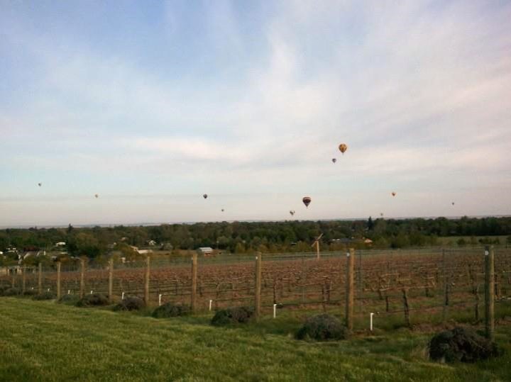 Walla Walla Vineyard and Hot Air Balloons (3)