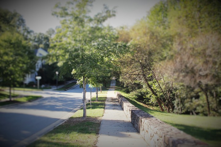 Walking Trail.JPG