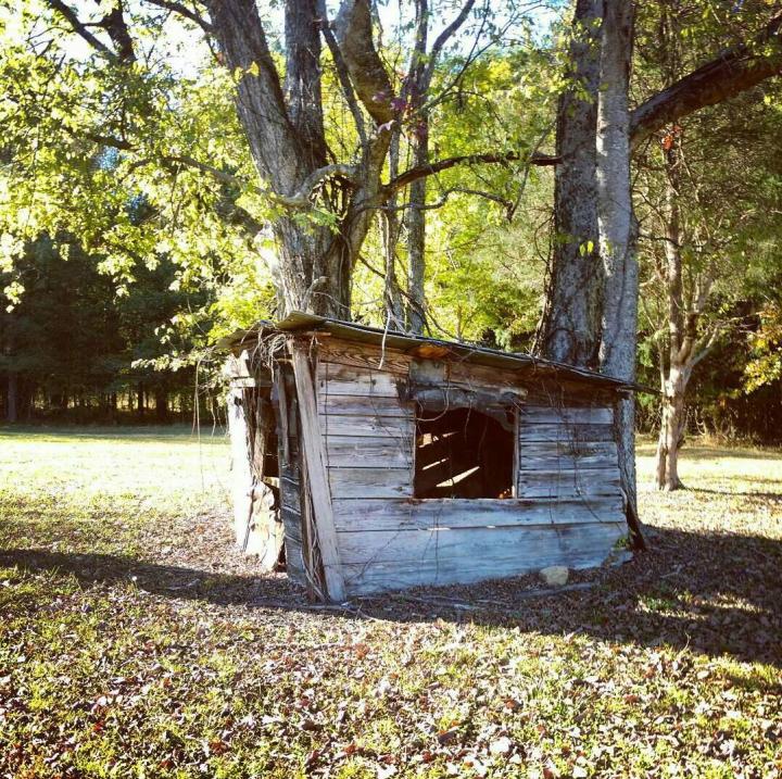 stagvillemainhousekitchenoutbuilding_karlajimenez2016