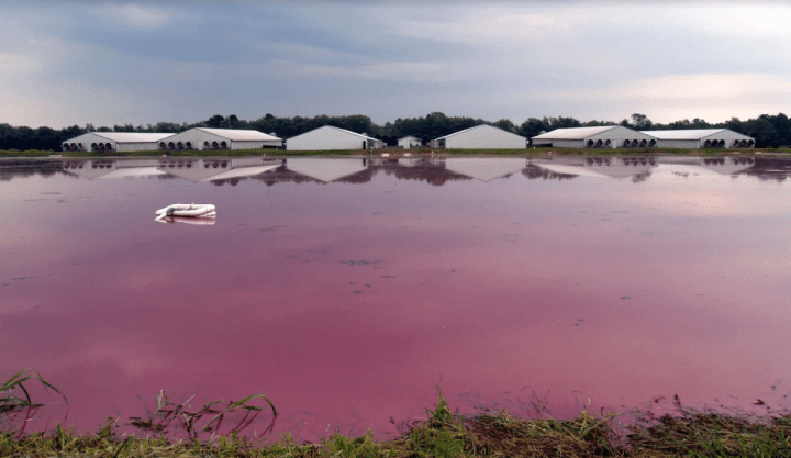 Screen Shot 2017-11-28 at 3.33.06 PM