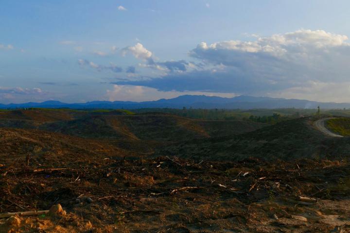 WhatsApp Image 2018-11-07 at 4.43.05 AM