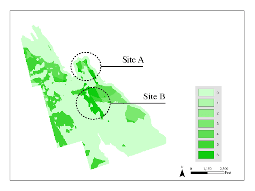 Land Use Analysis 2